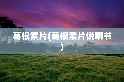 葛根素片(葛根素片说明书) 葛根素片(葛根素片说明书)