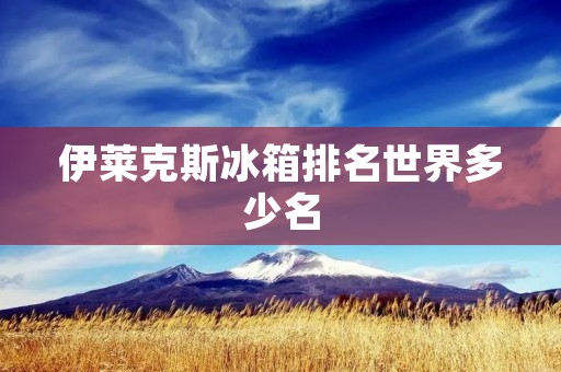 伊莱克斯冰箱排名世界多少名 伊莱克斯冰箱排名世界多少名