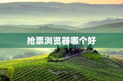 抢票浏览器哪个好 抢票浏览器哪个好