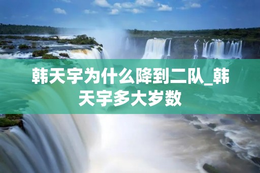 韩天宇为什么降到二队_韩天宇多大岁数