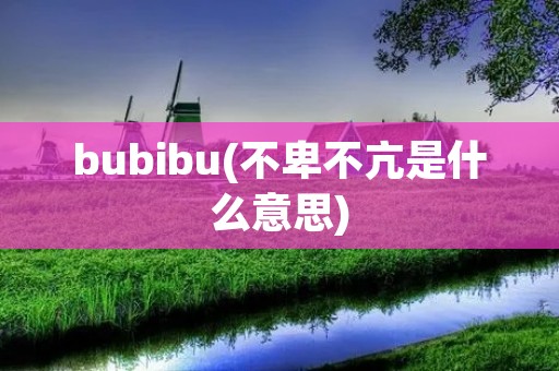 bubibu(不卑不亢是什么意思)