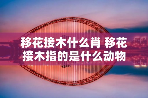 移花接木什么肖 移花接木指的是什么动物