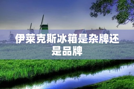 伊莱克斯冰箱是杂牌还是品牌