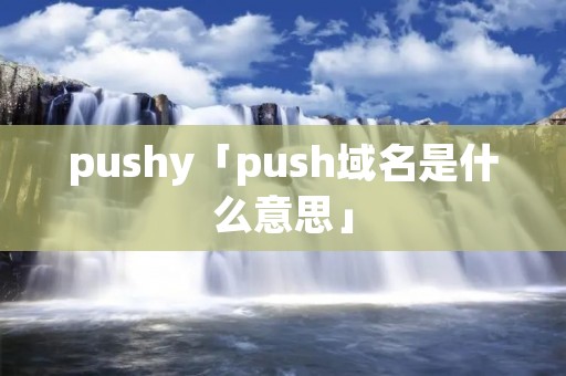 pushy「push域名是什么意思」