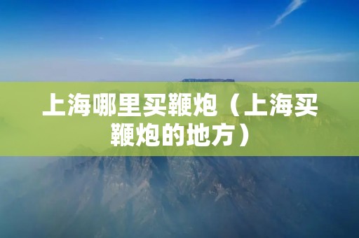 上海哪里买鞭炮（上海买鞭炮的地方）