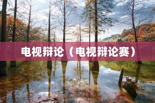 电视辩论（电视辩论赛）