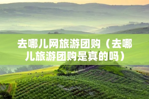 去哪儿网旅游团购（去哪儿旅游团购是真的吗）