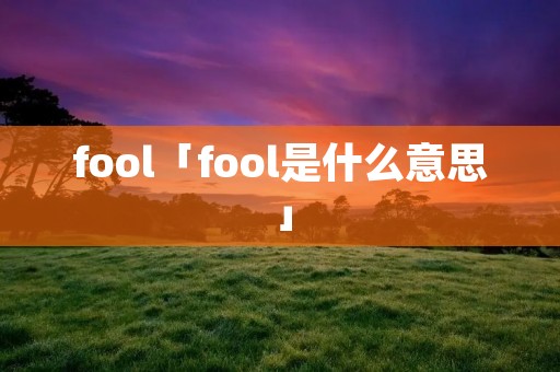 fool「fool是什么意思」