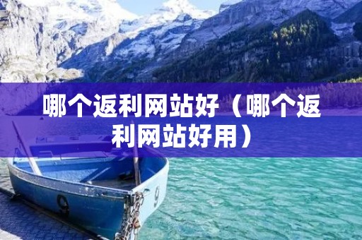 哪个返利网站好(哪个返利网站好用) 哪个返利网站好(哪个返利网站好用)