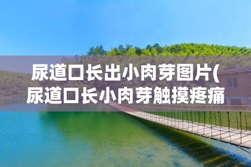 尿道口长出小肉芽图片(尿道口长小肉芽触摸疼痛) 尿道口长出小肉芽图片(尿道口长小肉芽触摸疼痛)