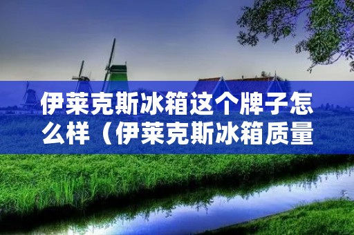 伊莱克斯冰箱这个牌子怎么样（伊莱克斯冰箱质量怎么样啊）