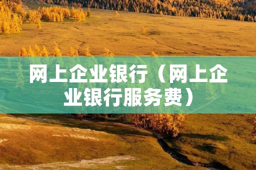 网上企业**（网上企业**服务费）
