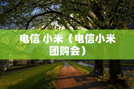 电信 小米(电信小米团购会) 电信 小米(电信小米团购会)