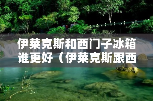 伊莱克斯和西门子冰箱谁更好（伊莱克斯跟西门子冰箱哪种好）