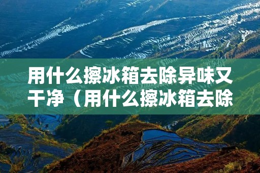 用什么擦冰箱去除异味又干净（用什么擦冰箱去除异味又干净又好用）