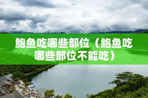 鲍鱼吃哪些部位(鲍鱼吃哪些部位不能吃) 鲍鱼吃哪些部位(鲍鱼吃哪些部位不能吃)
