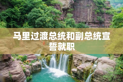 马里过渡总统和副总统宣誓就职