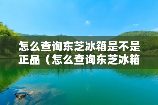 怎么查询东芝冰箱是不是正品（怎么查询东芝冰箱是不是正品新机）