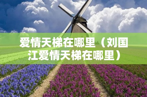 爱情天梯在哪里（刘国江爱情天梯在哪里）