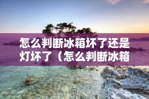 怎么判断冰箱坏了还是灯坏了(怎么判断冰箱坏了还是灯坏了视频)