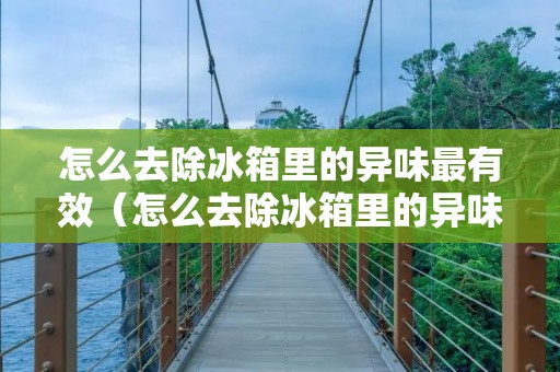怎么去除冰箱里的异味最有效(怎么去除冰箱里的异味最有效的方法)