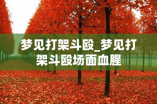 梦见打架斗殴_梦见打架斗殴场面血腥