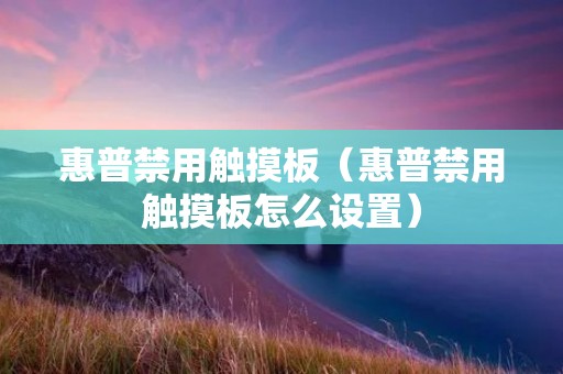 惠普禁用触摸板（惠普禁用触摸板怎么设置）