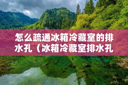 怎么疏通冰箱冷藏室的排水孔(冰箱冷藏室排水孔堵塞怎么清理)