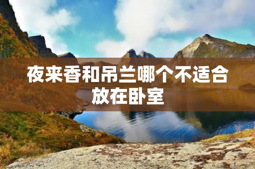 夜来香和吊兰哪个不适合放在卧室
