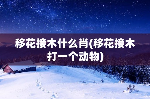 移花接木什么肖(移花接木打一个动物)