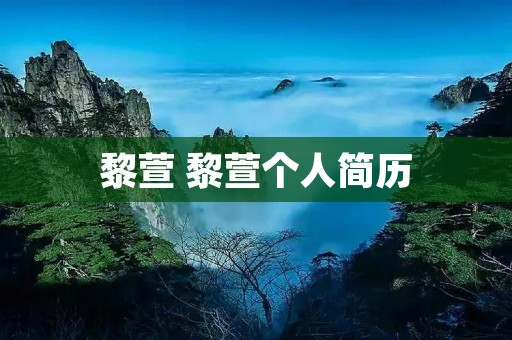 黎萱 黎萱个人简历