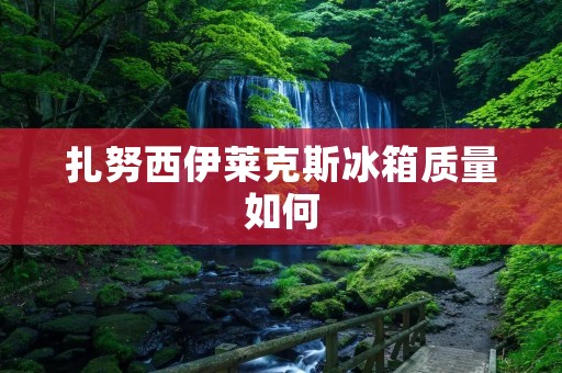 扎努西伊莱克斯冰箱质量如何