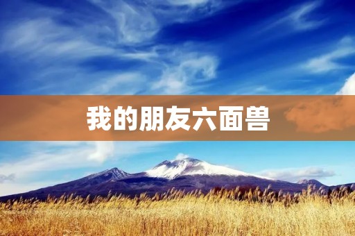 我的朋友六面兽 我的朋友六面兽