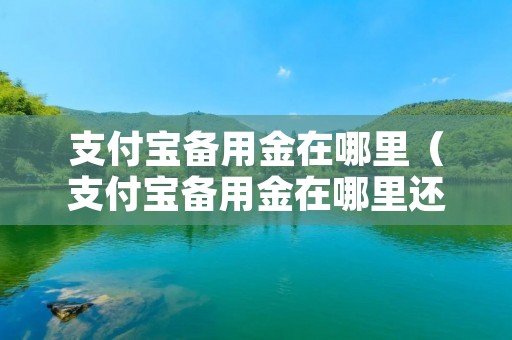 支付宝备用金在哪里(支付宝备用金在哪里还款) 支付宝备用金在哪里(支付宝备用金在哪里还款)