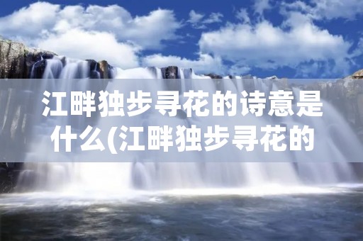 江畔独步寻花的诗意是什么(江畔独步寻花的诗意是什么呀?帮忙发到群里面可以吗)