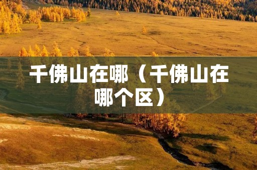 千佛山在哪（千佛山在哪个区）