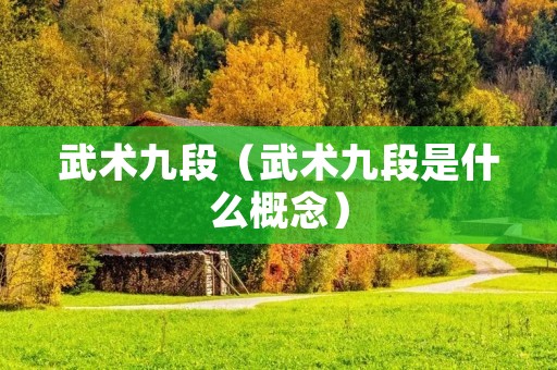 武术九段（武术九段是什么概念）
