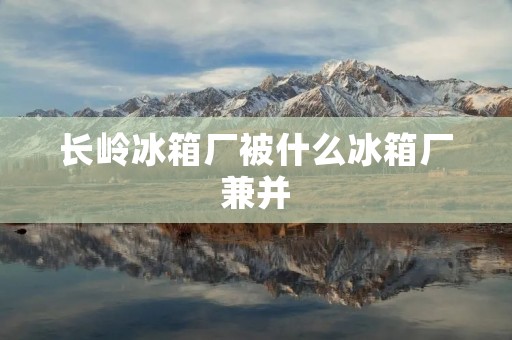 长岭冰箱厂被什么冰箱厂兼并