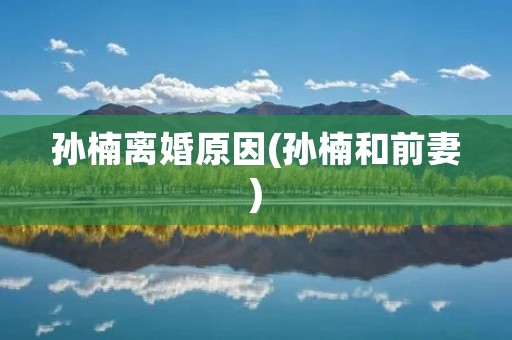 孙楠离婚原因(孙楠和前妻) 孙楠离婚原因(孙楠和前妻)