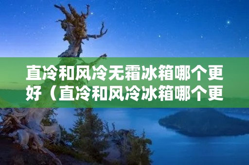 直冷和风冷无霜冰箱哪个更好(直冷和风冷冰箱哪个更好)