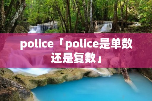 police「police是单数还是复数」 police「police是单数还是复数」
