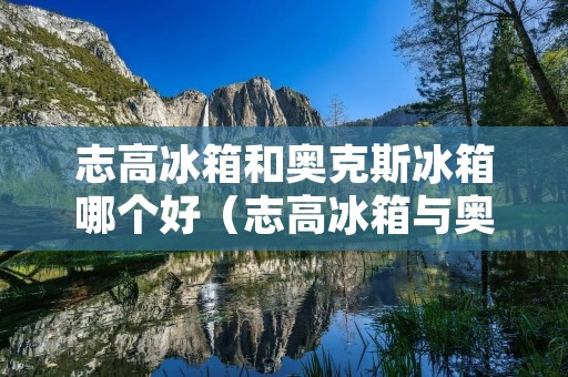 志高冰箱和奥克斯冰箱哪个好(志高冰箱与奥克斯冰箱哪个好)
