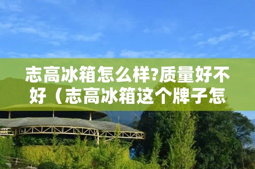 志高冰箱怎么样?质量好不好(志高冰箱这个牌子怎么样)