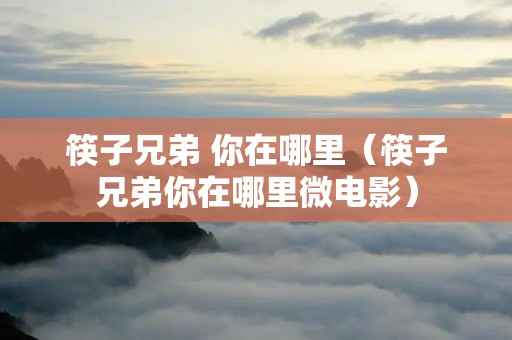 筷子兄弟 你在哪里（筷子兄弟你在哪里微电影）