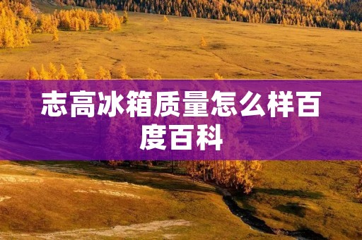 志高冰箱质量怎么样百度百科