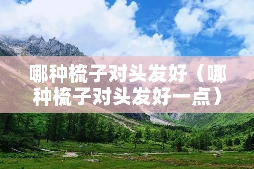 哪种梳子对头发好（哪种梳子对头发好一点）