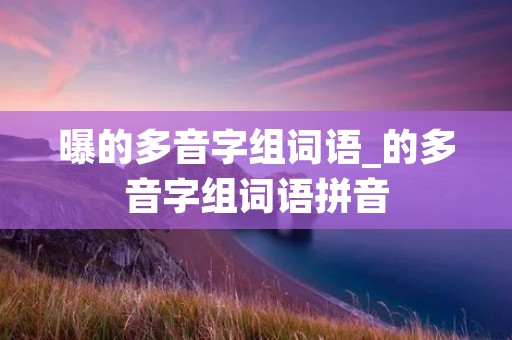 曝的多音字组词语_的多音字组词语拼音