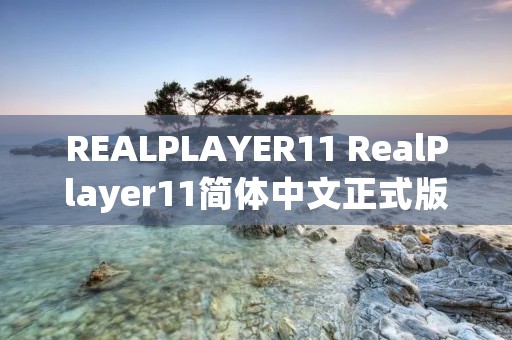 REALPLAYER11 RealPlayer11简体中文正式版