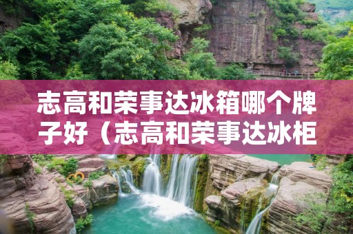 志高和荣事达冰箱哪个牌子好(志高和荣事达冰柜哪个好?)