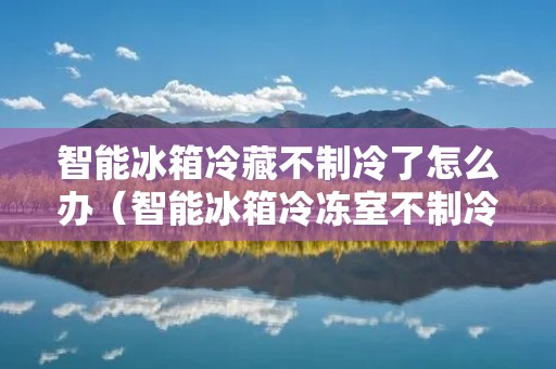 智能冰箱冷藏不制冷了怎么办(智能冰箱冷冻室不制冷是什么原因)